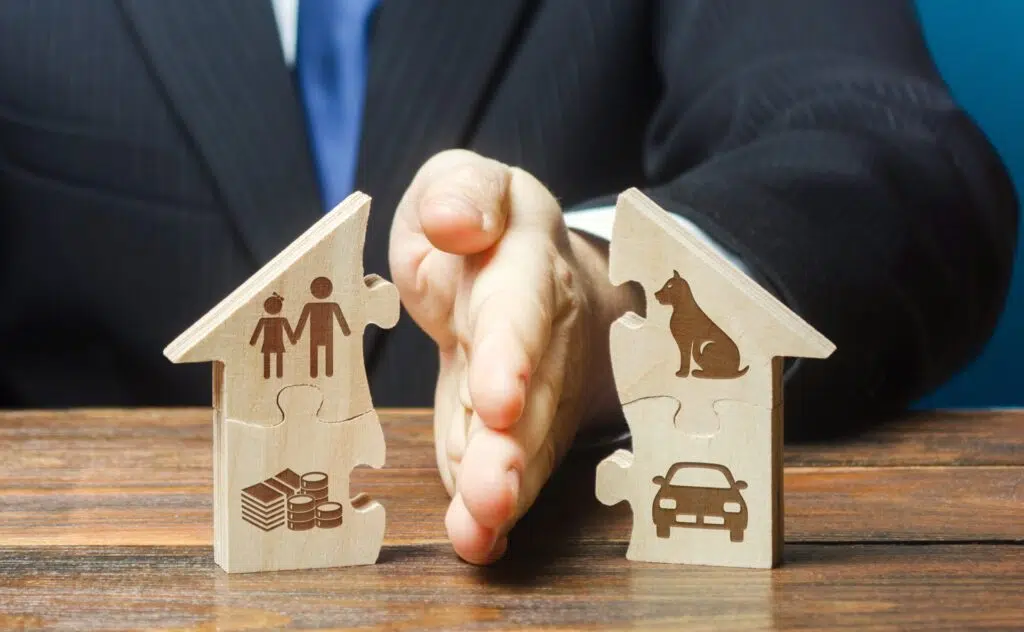 Businessman separates two puzzle-shaped houses | Divorce Lawyer | The Hemmat Law Group